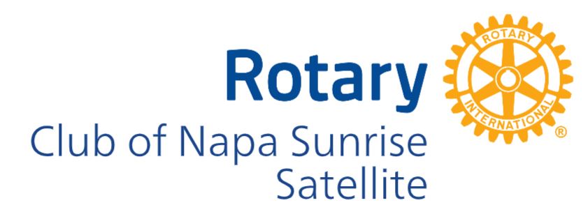 Satellite Logo